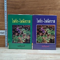 หนังสือ ไฟรัก-ไฟพิศวาส 2 เล่มจบ