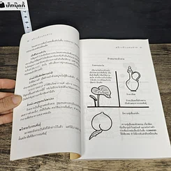 หนังสือ สร้างผิวแสนสวย รูปที่ 8