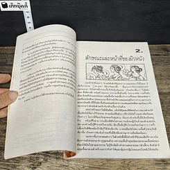 หนังสือ วิธีทําให้ผิวสวย รูปที่ 7