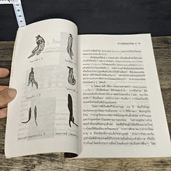 หนังสือ ความลับของโสม จากสูตรยาตุ๋นถึงงานวิจัย รูปที่ 8