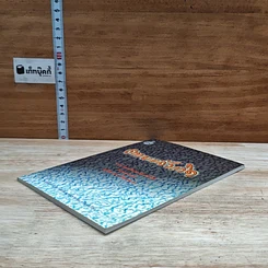 หนังสือ ตายแล้วเกิด ข่าวเรื่องเด็กระลึกชาติได้ โจทก์จำเลยผู้พิพากษาในตัวเอง รูปที่ 4