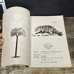 หนังสือ โลกของไดโนเสาร์กับมนุษย์วานร รูปที่ 6