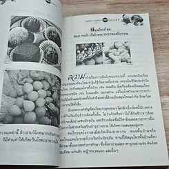 หนังสือ สมุนไพร+กายบริหาร หยุดเบาหวาน รูปที่ 7