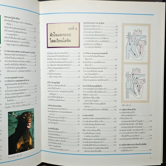 หนังสือ พื้นฐานแห่งกายมนุษย์ รูปที่ 10