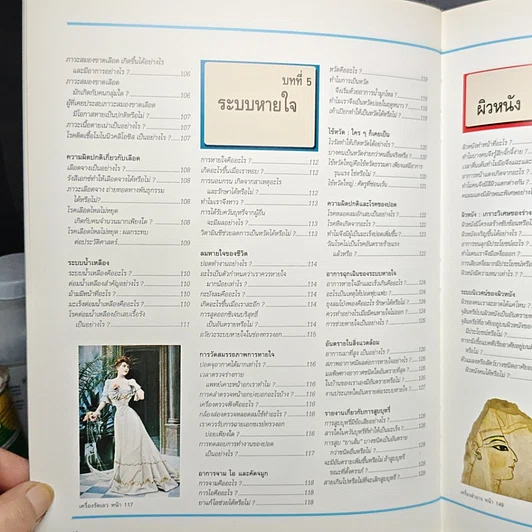 หนังสือ พื้นฐานแห่งกายมนุษย์ รูปที่ 11