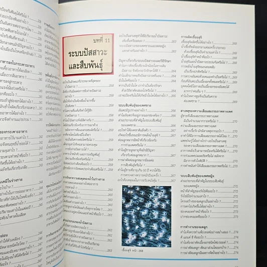 หนังสือ พื้นฐานแห่งกายมนุษย์ รูปที่ 18
