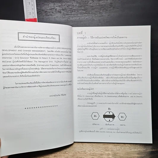 หนังสือ Leadership Dilemmas—Grid Solutions รูปที่ 8