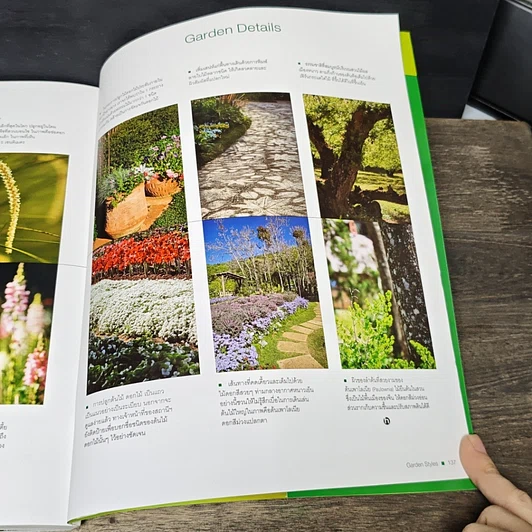 หนังสือ Garden Styles สวนสวยหลากสไตล์ รูปที่ 11