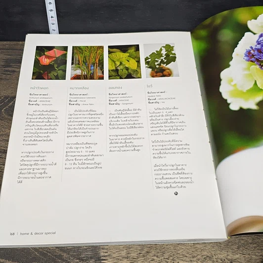 หนังสือ Garden room shome & decorspecial รูปที่ 10