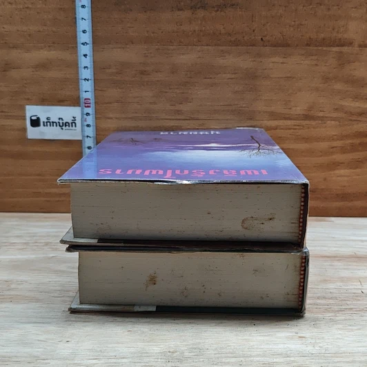 หนังสือ เพลิงรักไฟมาร 2 เล่มจบ รูปที่ 5