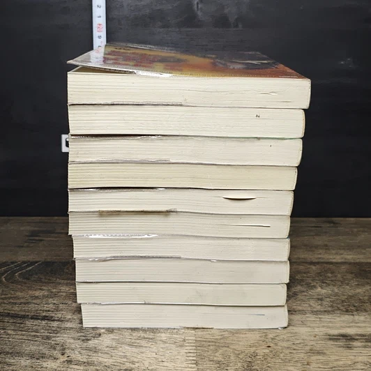 หนังสือ มหาบุรุษพลิกปฐพี 10 เล่มจบ รูปที่ 5