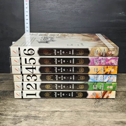 หนังสือ พยัคฆ์คู่ผงาดฟ้า 6 เล่มจบ รูปที่ 3