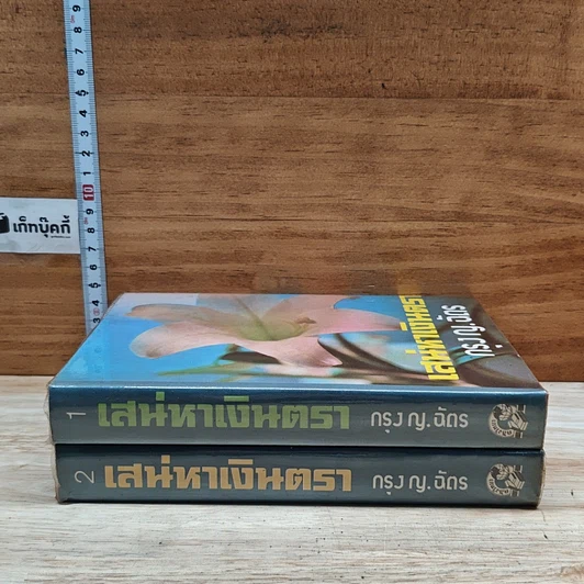 หนังสือ เสน่หาเงินตรา 2 เล่มจบ รูปที่ 3