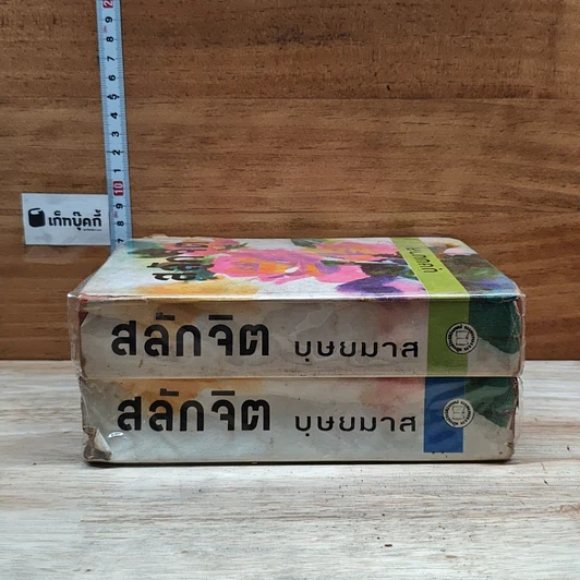 หนังสือ สลักจิต 2 เล่มจบ รูปที่ 3