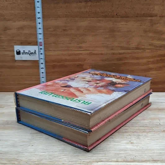 หนังสือ เจ้าสาวปริศนา 2 เล่มจบ รูปที่ 4