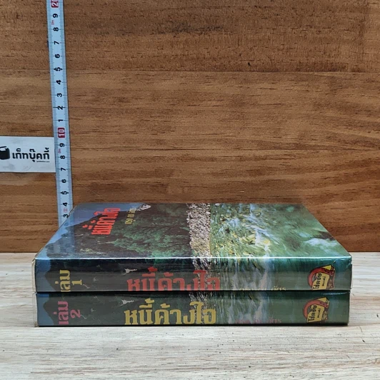หนังสือ หนี้ค้างใจ 2 เล่มจบ รูปที่ 3