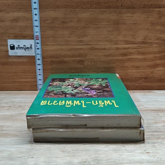 หนังสือ ไฟรัก-ไฟพิศวาส 2 เล่มจบ รูปที่ 5