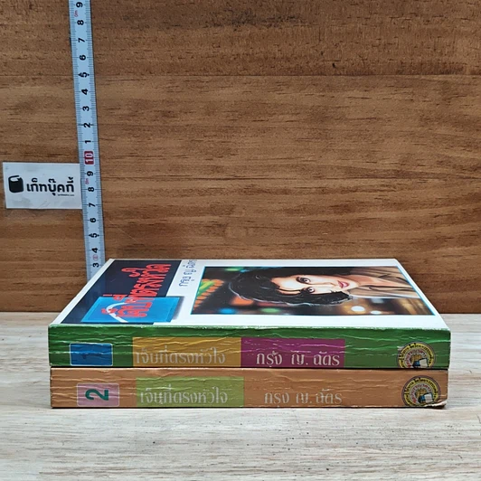 หนังสือ เจ็บที่ตรงหัวใจ 2 เล่มจบ รูปที่ 3