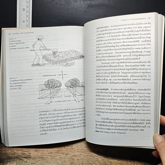 หนังสือ เกษตรยั่งยืน เกษตรกรกับธรรมชาติ รูปที่ 11