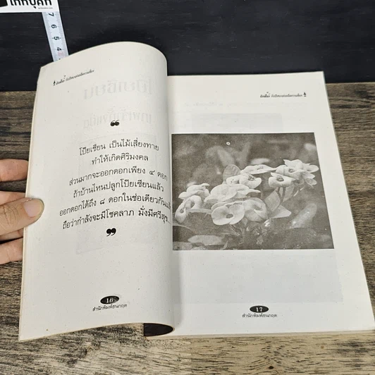 หนังสือ ต้นไม้กับปริศนาแห่งเคล็ดความเชื่อ ความงามและความหมาย รูปที่ 8