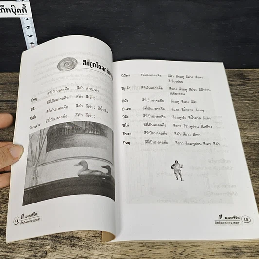 หนังสือ สีมงคลชีวิต อิทธิพลต่อดวงชะตา รูปที่ 8
