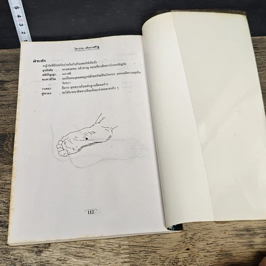 หนังสือ ไฝ ปาน เส้นทางชีวิต ศาสตร์แห่งการพยากรณ์ รูปที่ 9