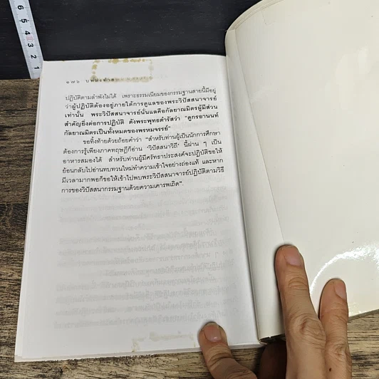 หนังสือ วิปัสสนาวิถี หลักการและการปฏิบัติวิปัสสนา รูปที่ 10
