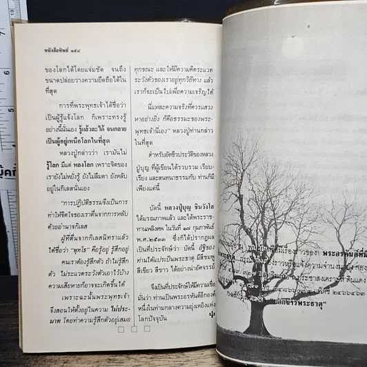 หนังสือ หนังสือทิพย์ โลกทิพย์ 12 รูปที่ 8