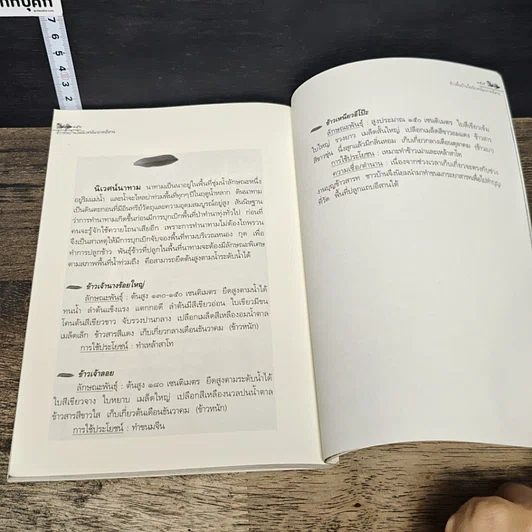 หนังสือ ข้าวพื้นบ้าน เชื้อพันธุ์แผ่นดินอีสาน รูปที่ 9