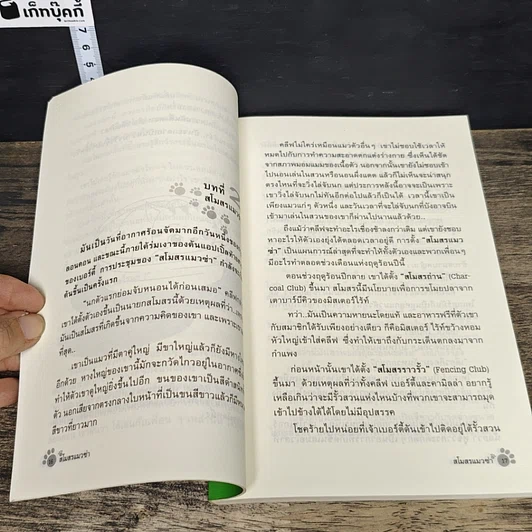 หนังสือ สโมสรแมวซ่า รูปที่ 8
