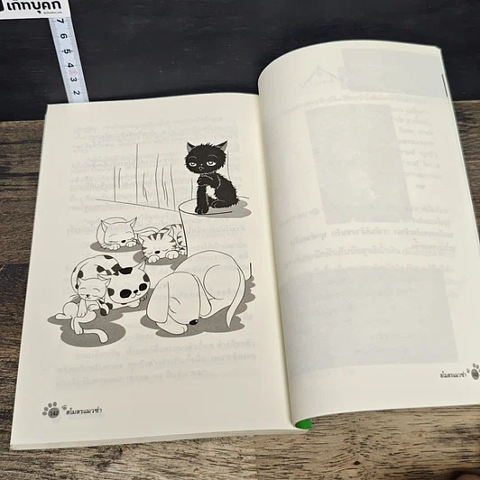 หนังสือ สโมสรแมวซ่า รูปที่ 9