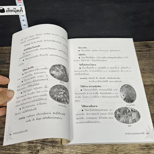 หนังสือ ตำรับยาแผนไทย ภาคใต้ รูปที่ 9