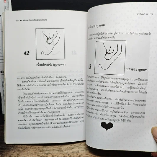 หนังสือ พิเคราะห์โหงวเฮ้งหญิงแบบย้อนศร รูปที่ 11