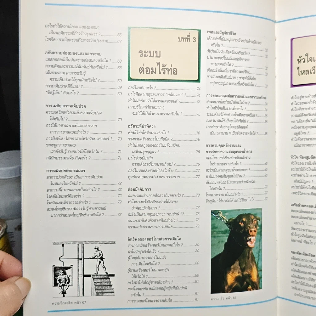 หนังสือ พื้นฐานแห่งกายมนุษย์ รูปที่ 9