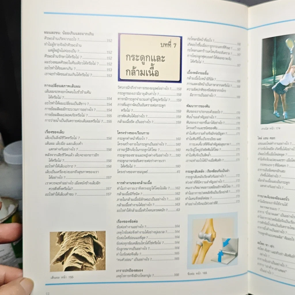 หนังสือ พื้นฐานแห่งกายมนุษย์ รูปที่ 13
