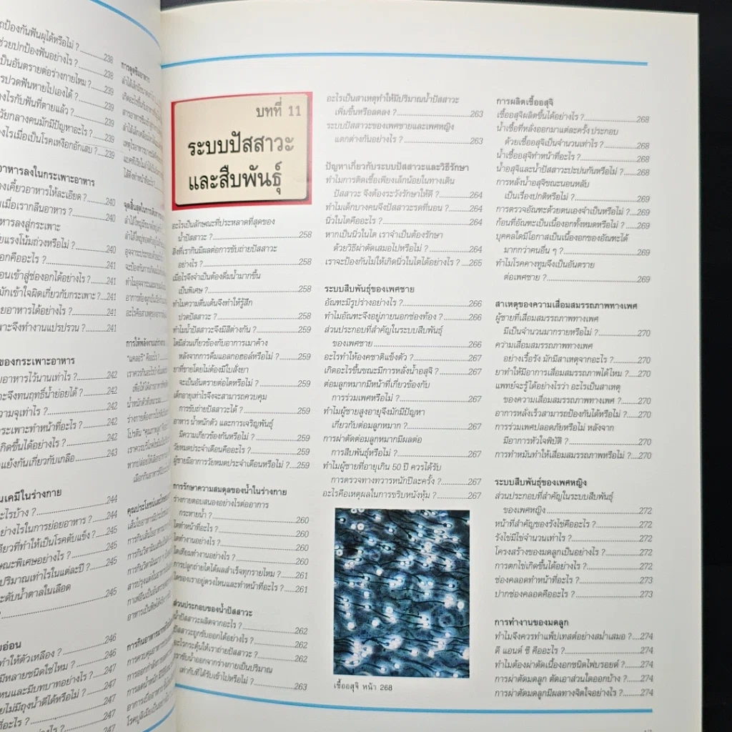 หนังสือ พื้นฐานแห่งกายมนุษย์ รูปที่ 18