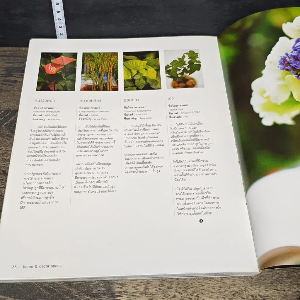 หนังสือ Garden room shome & decorspecial รูปที่ 10