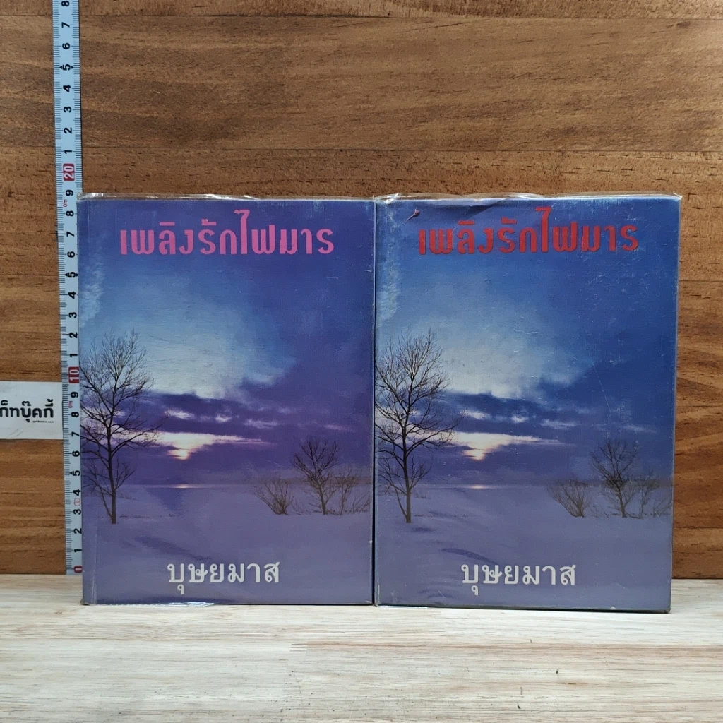หนังสือ เพลิงรักไฟมาร 2 เล่มจบ รูปที่ 1