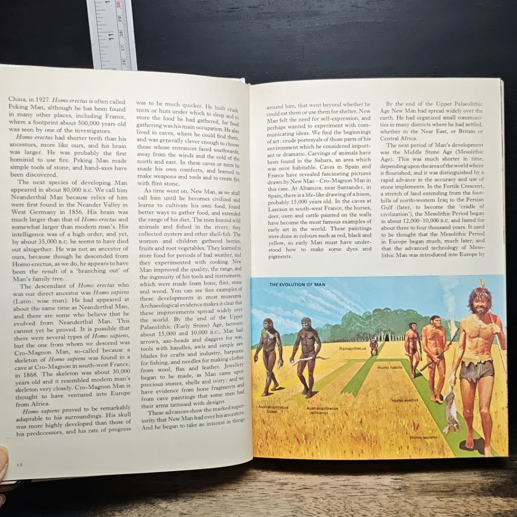 หนังสือ The History of the World รูปที่ 10