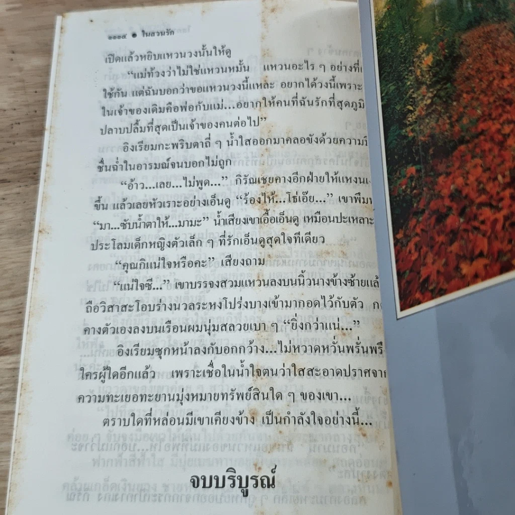 หนังสือ ในสวนรัก 2 เล่มจบ รูปที่ 9
