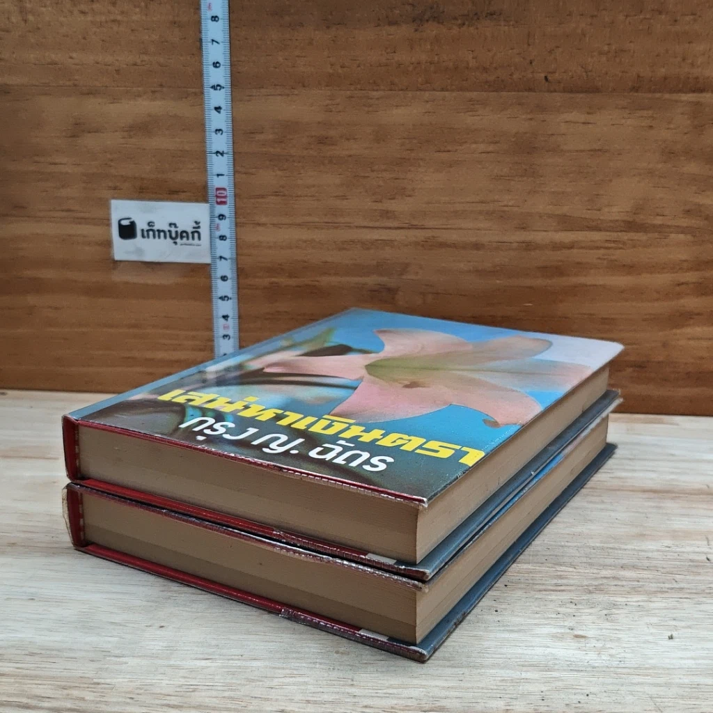 หนังสือ เสน่หาเงินตรา 2 เล่มจบ รูปที่ 4