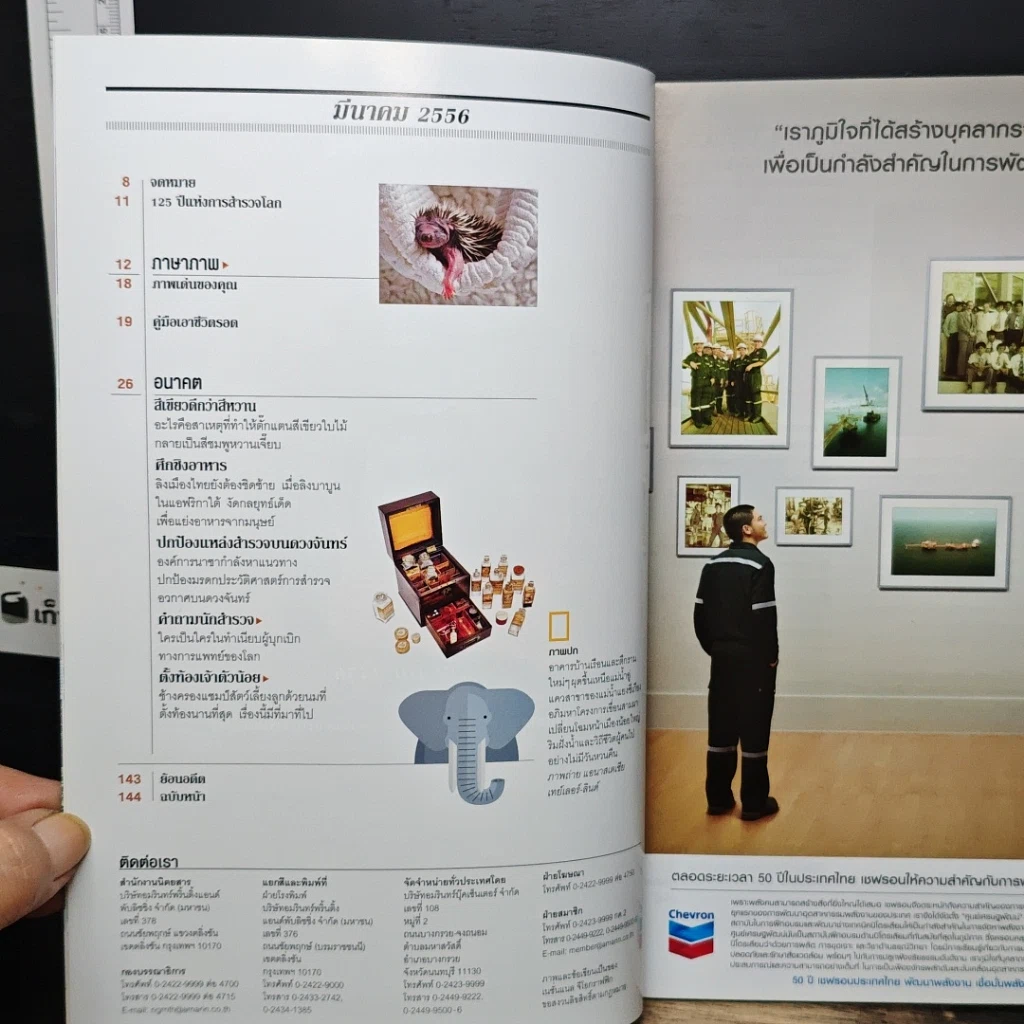 หนังสือ National Geographic ฉบับที่ 140 มี.ค.2556 รูปที่ 8