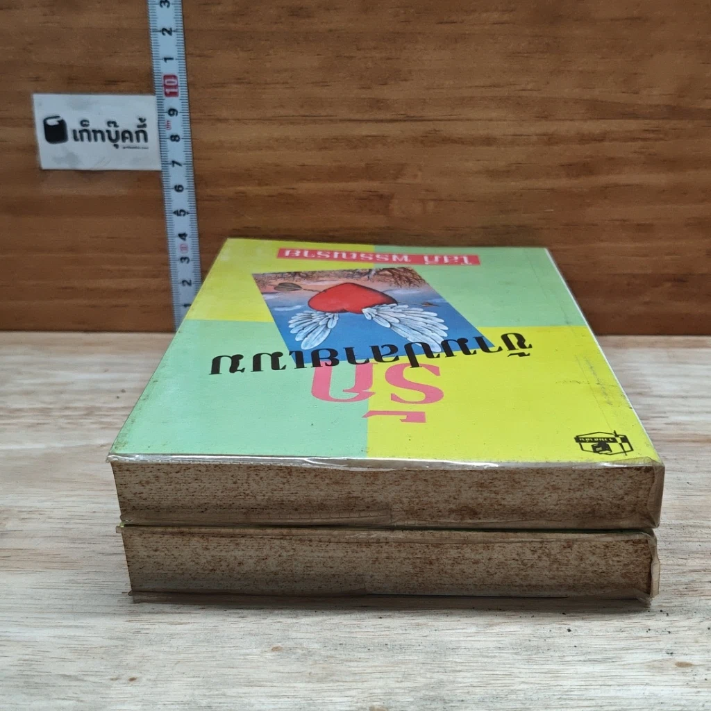 หนังสือ รักข้ามปลายเมฆ 2 เล่มจบ รูปที่ 5