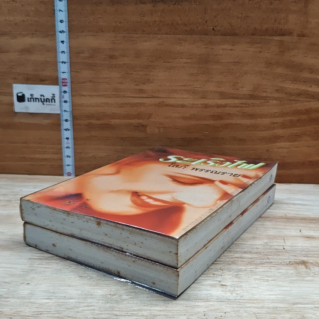 หนังสือ ระเริงไฟ 2 เล่มจบ รูปที่ 4