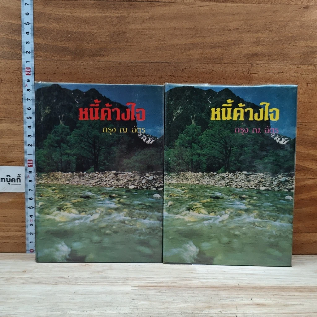 หนังสือ หนี้ค้างใจ 2 เล่มจบ รูปที่ 1