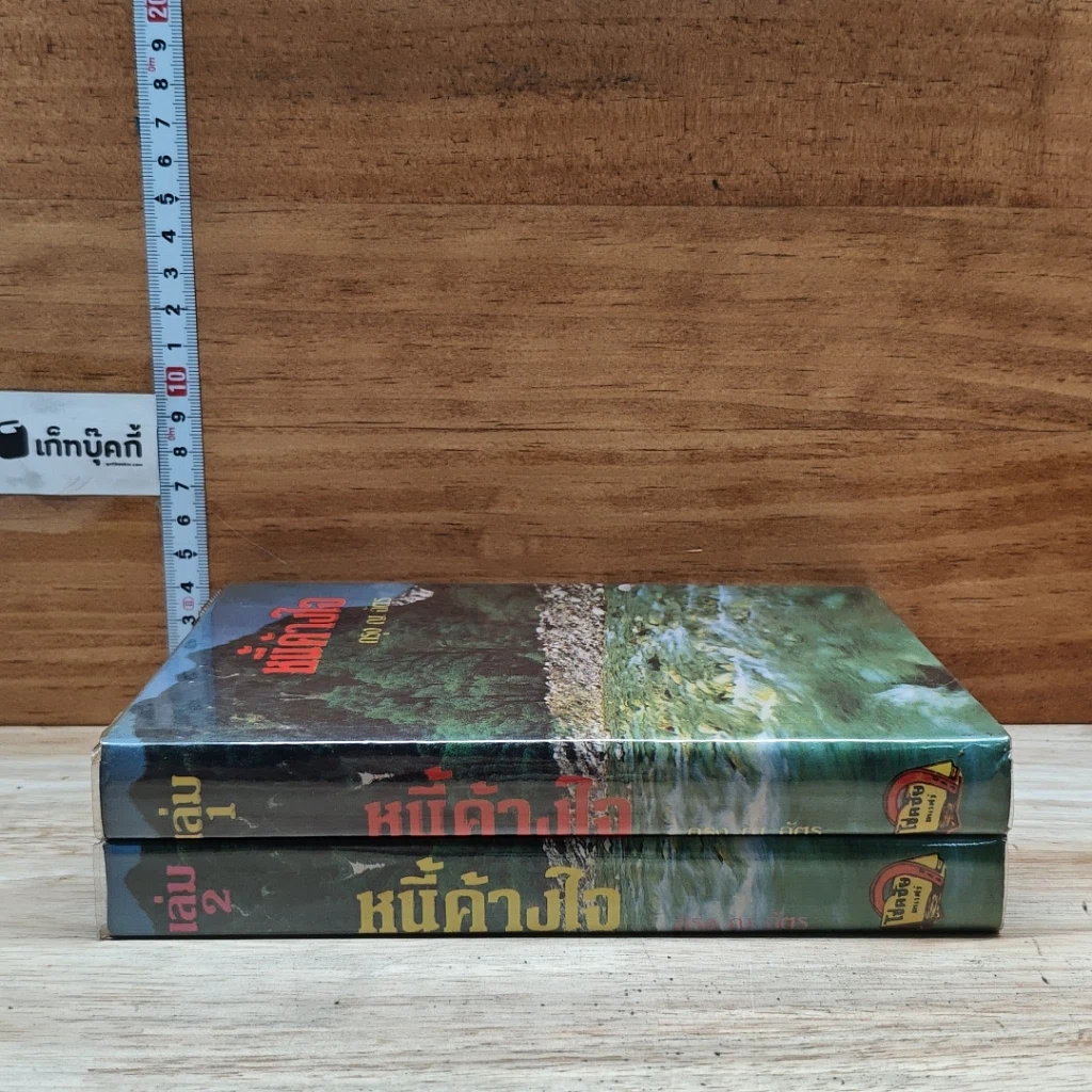 หนังสือ หนี้ค้างใจ 2 เล่มจบ รูปที่ 3