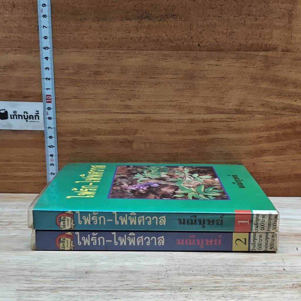 หนังสือ ไฟรัก-ไฟพิศวาส 2 เล่มจบ รูปที่ 3