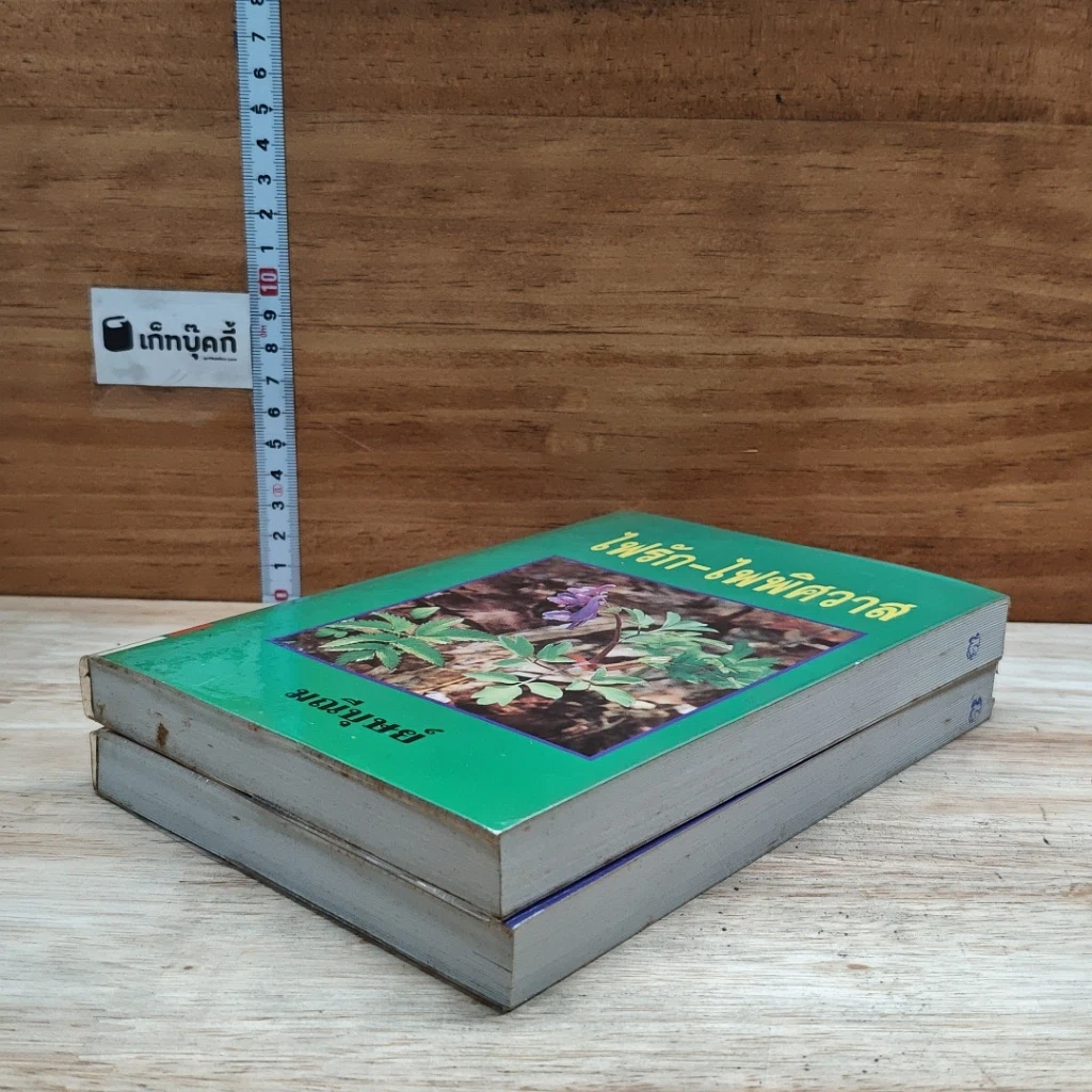 หนังสือ ไฟรัก-ไฟพิศวาส 2 เล่มจบ รูปที่ 4