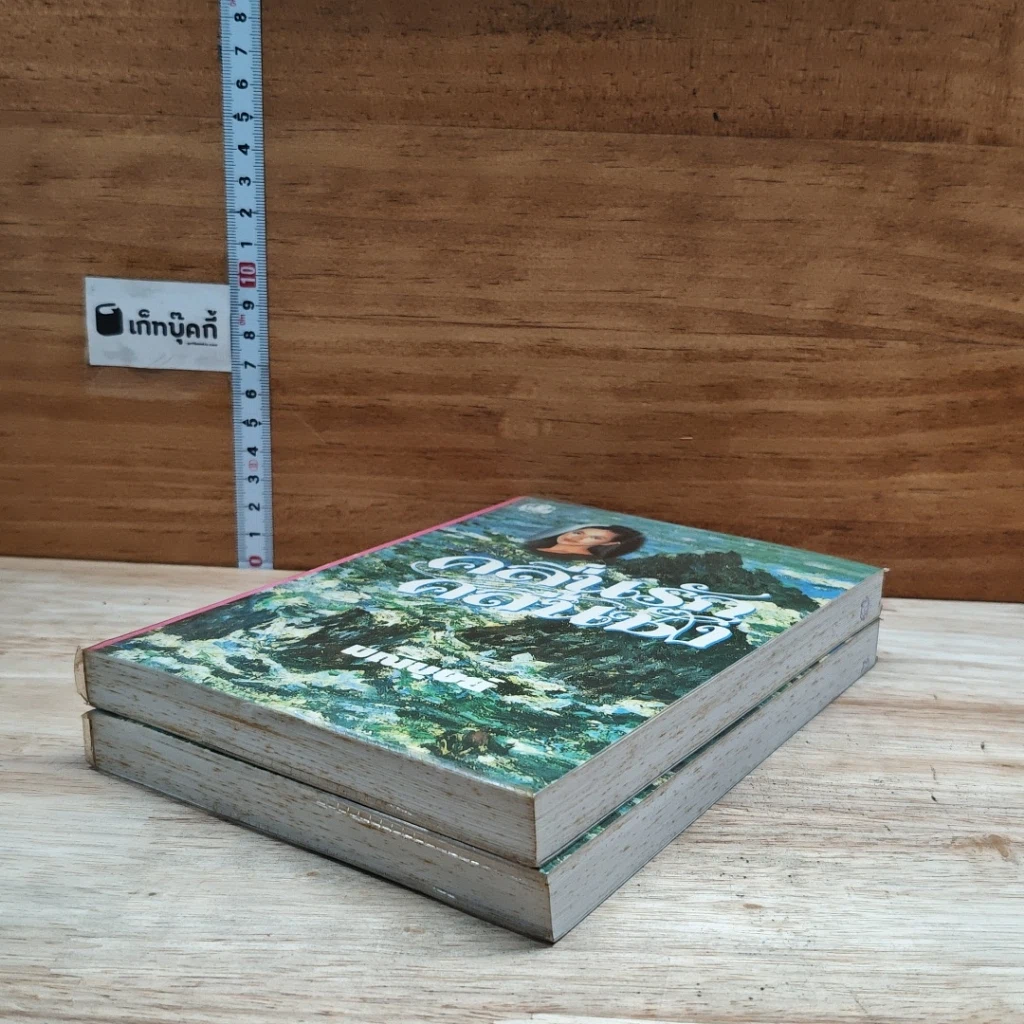 หนังสือ คลื่นรัก คลื่นชัง 2 เล่มจบ รูปที่ 4