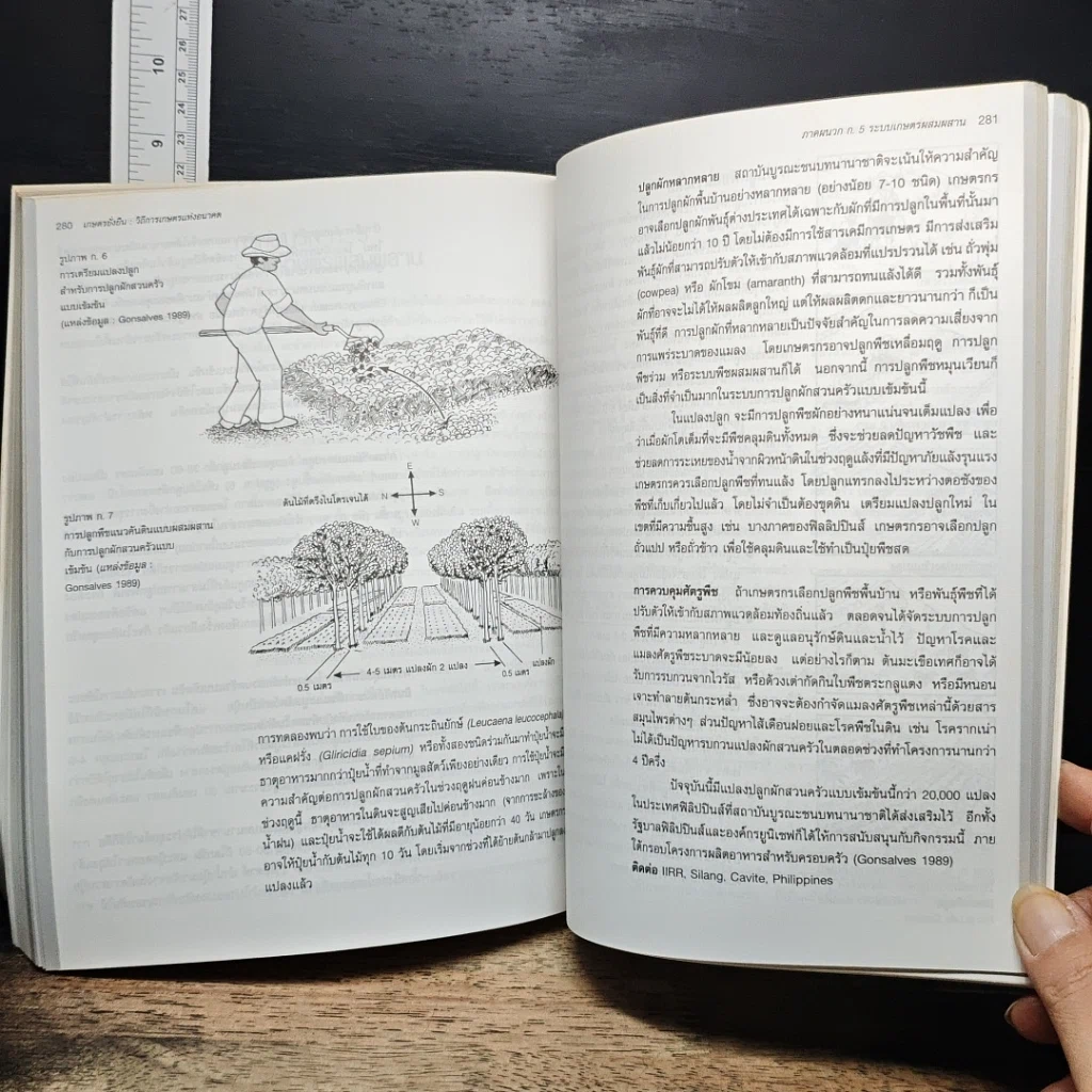 หนังสือ เกษตรยั่งยืน เกษตรกรกับธรรมชาติ รูปที่ 11